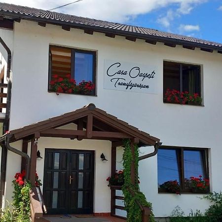 Апартаменты Casa Oaspeti Transfagarasan Кырцишоара Экстерьер фото
