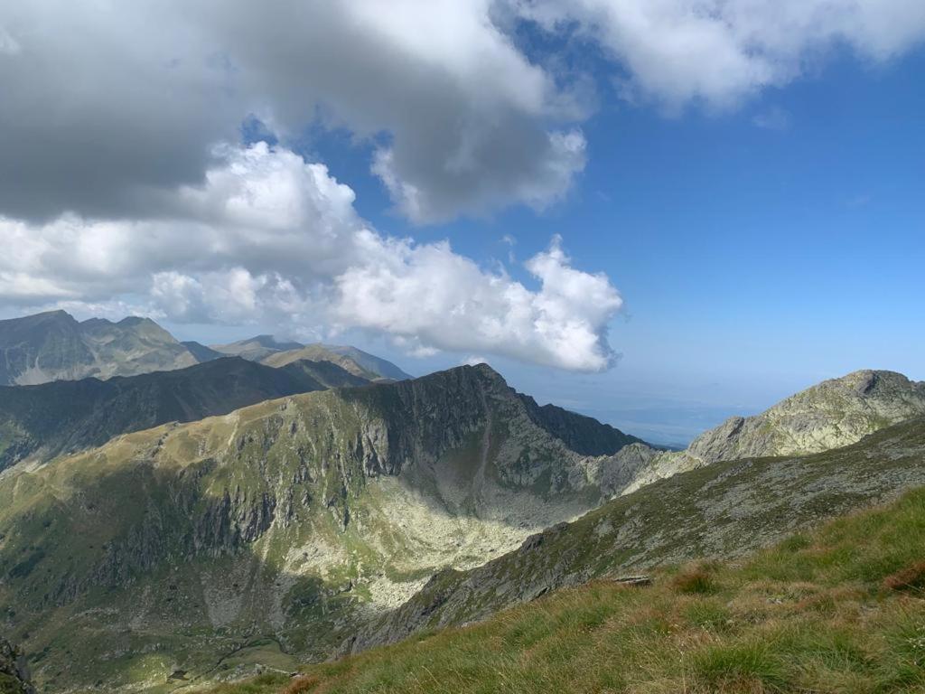Апартаменты Casa Oaspeti Transfagarasan Кырцишоара Экстерьер фото