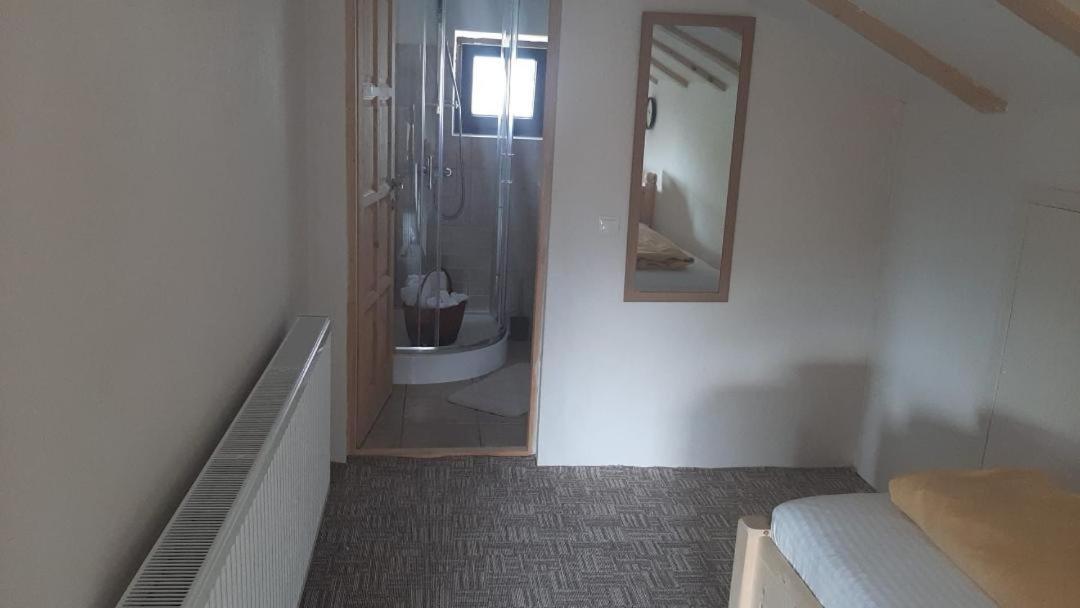 Апартаменты Casa Oaspeti Transfagarasan Кырцишоара Экстерьер фото