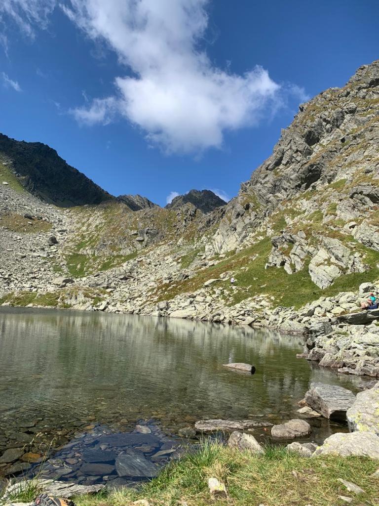 Апартаменты Casa Oaspeti Transfagarasan Кырцишоара Экстерьер фото