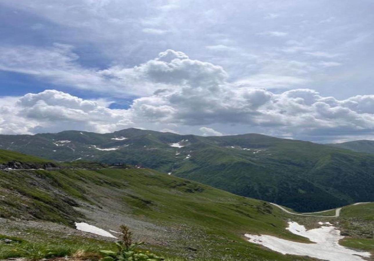 Апартаменты Casa Oaspeti Transfagarasan Кырцишоара Экстерьер фото
