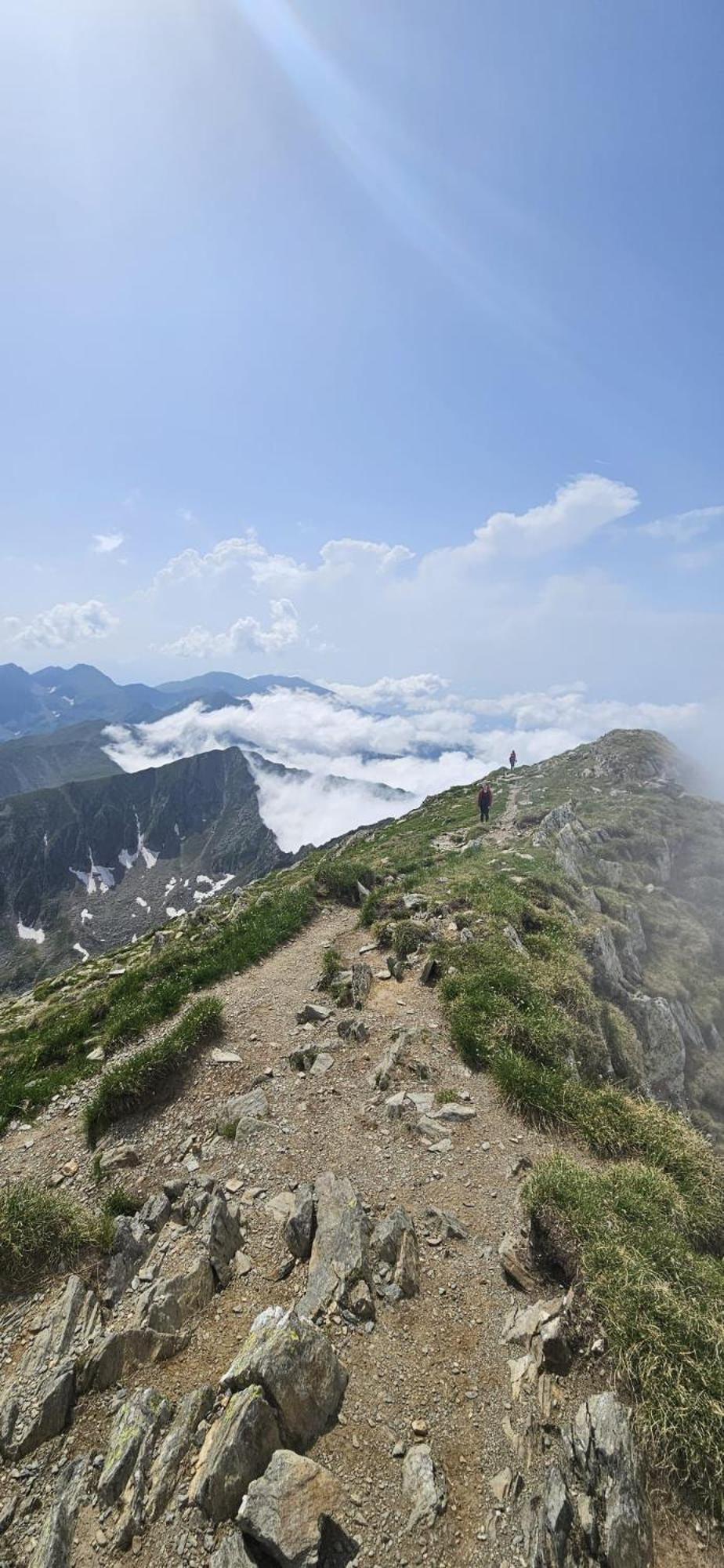 Апартаменты Casa Oaspeti Transfagarasan Кырцишоара Экстерьер фото